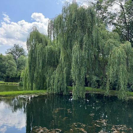 Restauracja I Noclegi Izba Rybacka W Krainie Wygaslych Wulkanow Podgorki Bagian luar foto
